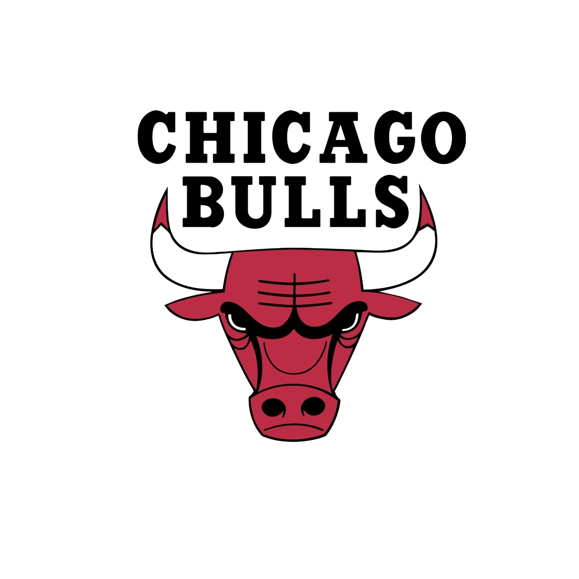 Chicago Bulls